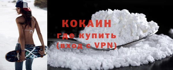 прущие грибы Абаза