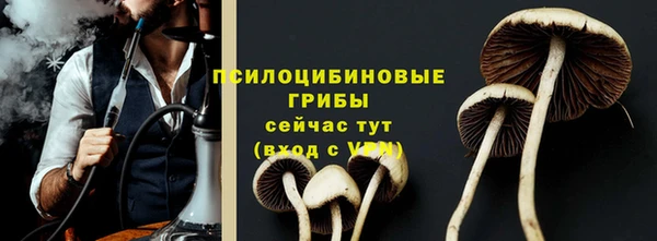 соль ск Абдулино
