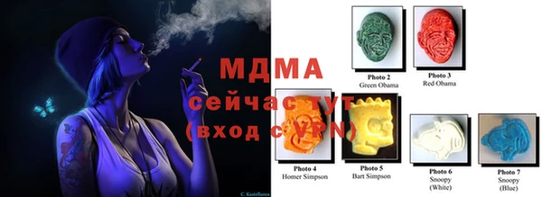 прущие грибы Абаза
