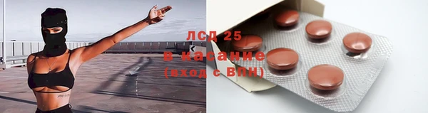 прущие грибы Абаза