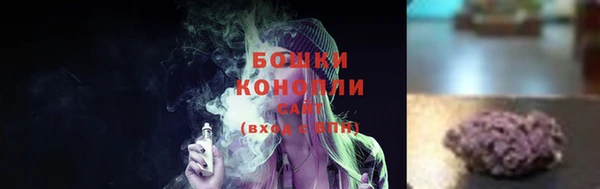 прущие грибы Абаза