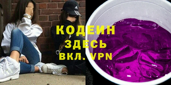 сатива Покачи