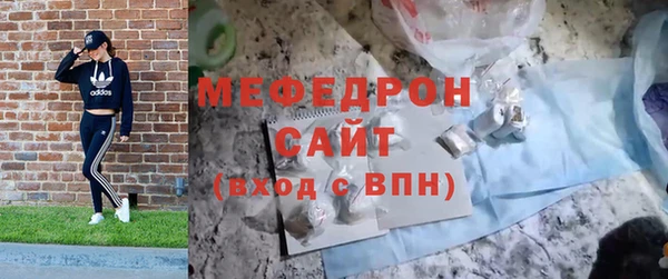 сатива Покачи