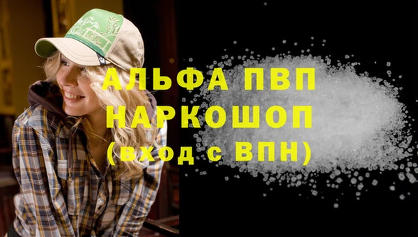 прущие грибы Абаза