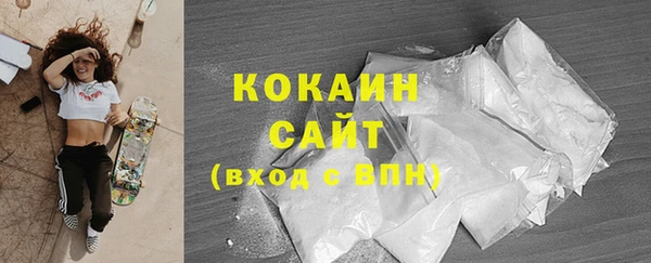 сатива Покачи