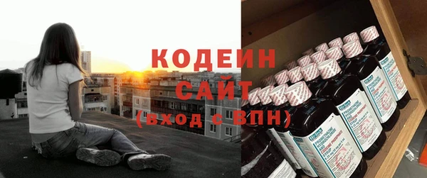 прущие грибы Абаза