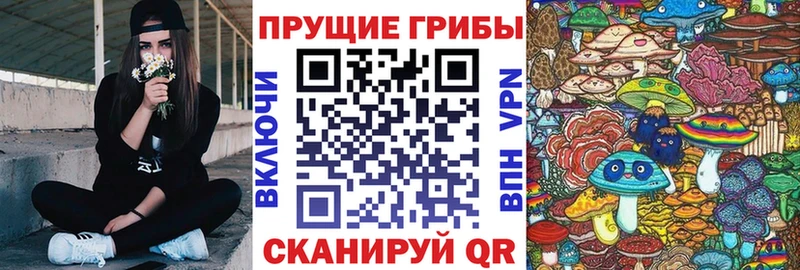 darknet формула Дальнереченск Галлюциногенные грибы прущие грибы мега зеркало